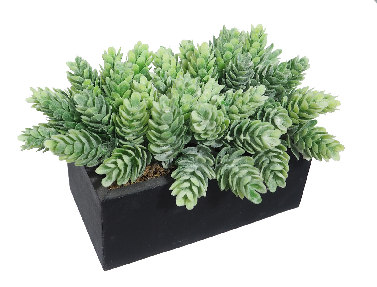 4871914.jpg Black box cactus piña/lupulo - 15x8x14cm - Imagen 1