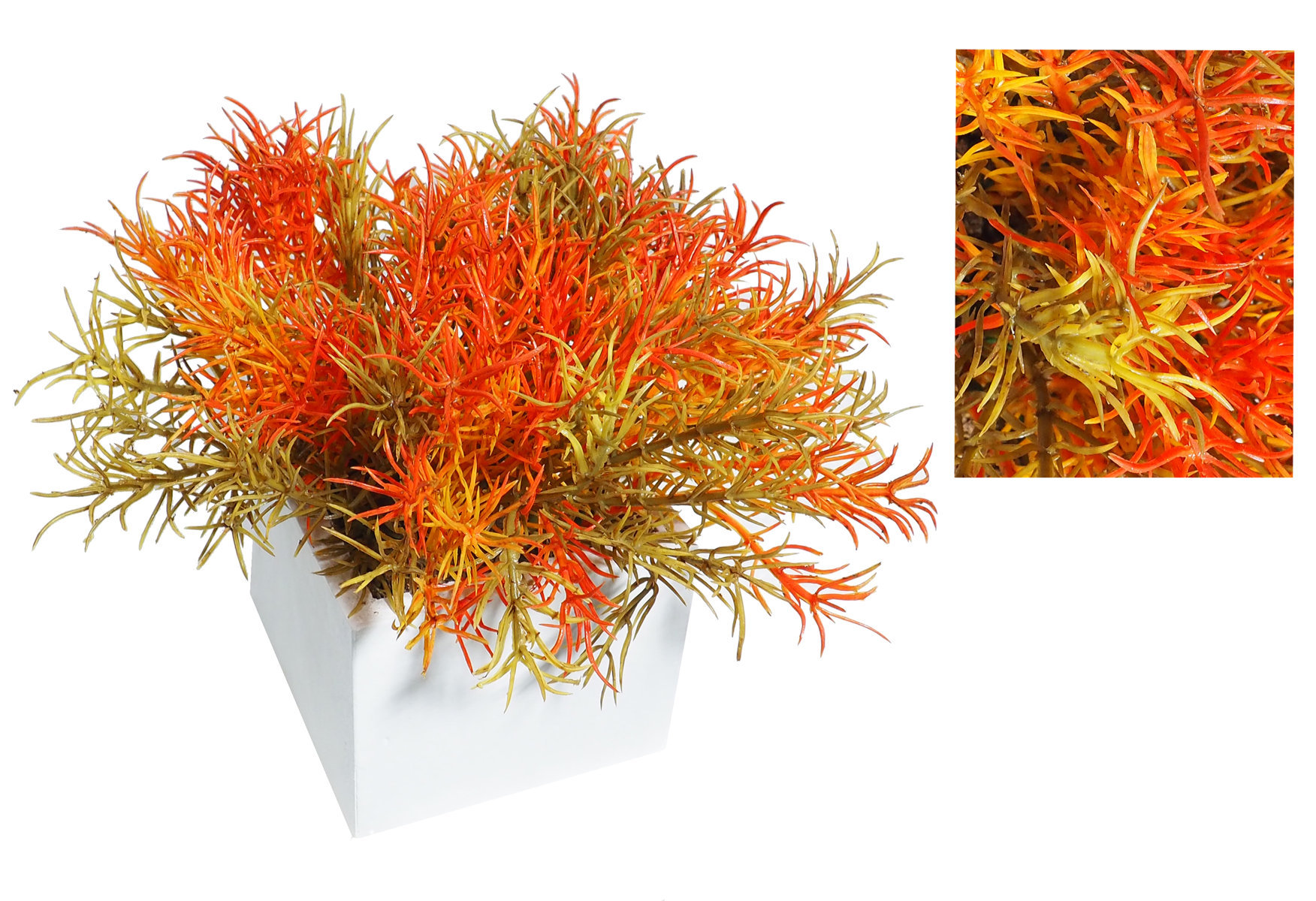 4872310B.jpg White box Springeri naranja - 8x8x14cm - Imagen 1