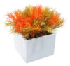 White box Springeri naranja - 11x11x16cm