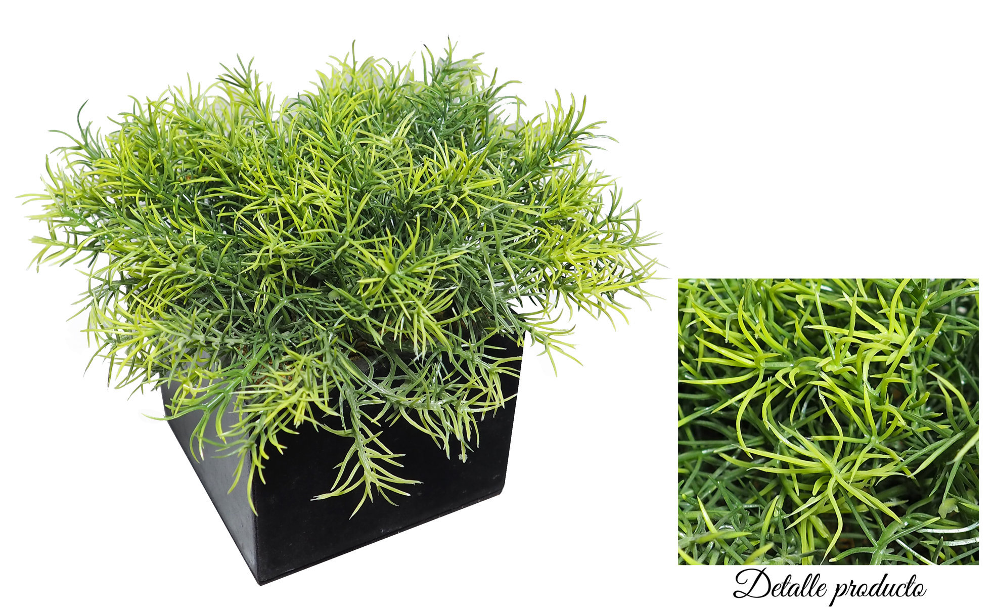 4872411.jpg Black box Springeri verde - 11x11x16cm - Imagen 1