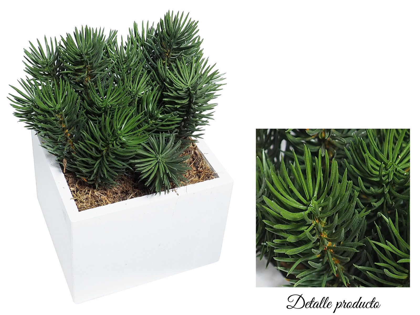 4872611B.jpg White box pino picea - 11x11x18cm - Imagen 1