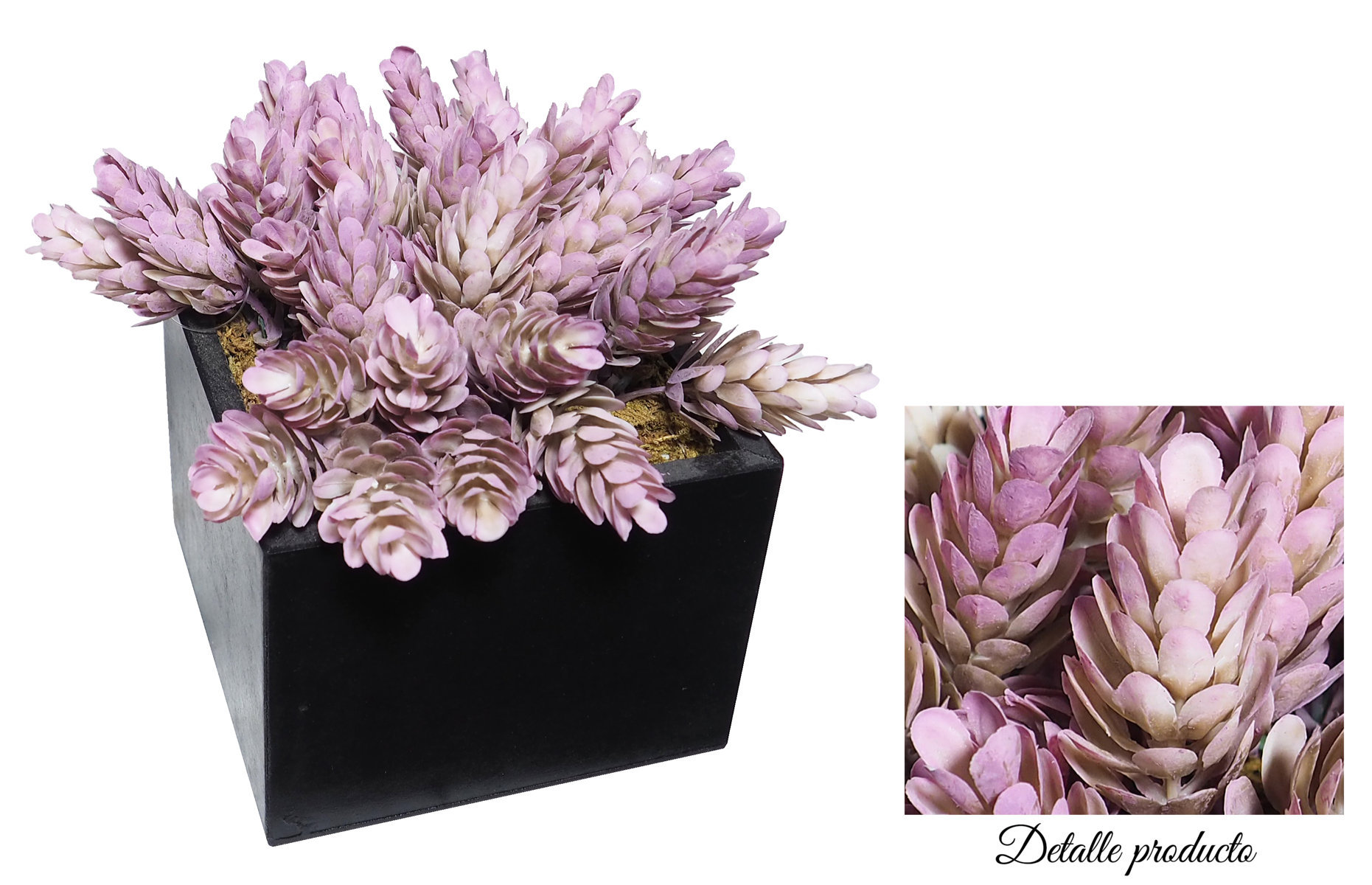 4872811.jpg Black box Cactus Piña Otoñal-11x11x16cm - Imagen 1