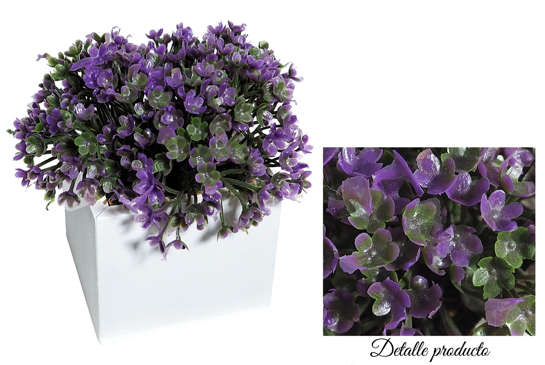 4873010B.jpg Black box verbena - 8x8x14cm - Imagen 1