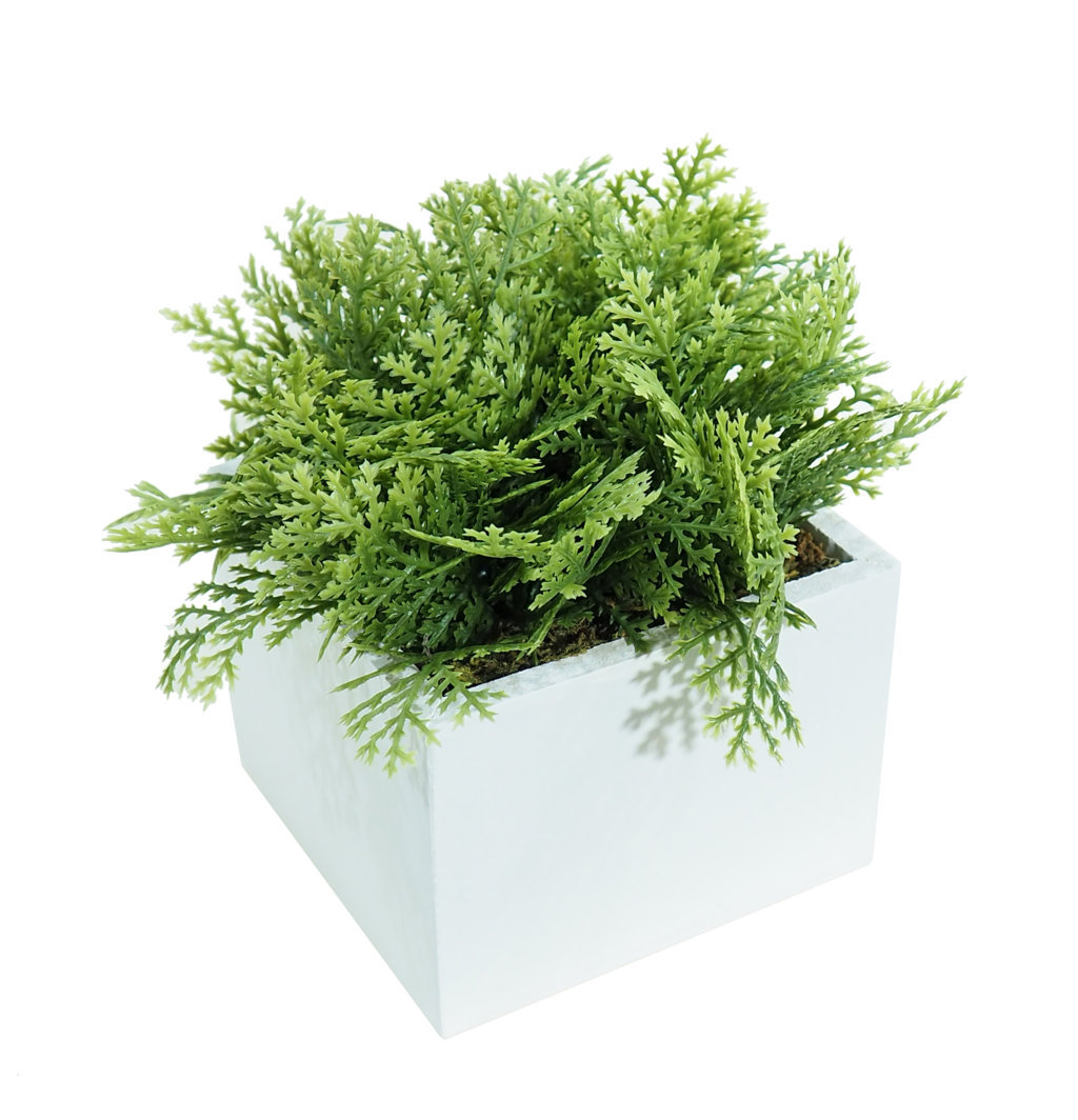 4873111b.jpg White box Tuya plana - 11x11x15cm. - Imagen 1