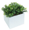 White box Te verde - 11x11x17cm