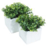 White box Te verde - 11x11x17cm - Imagen 2