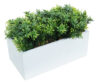 White box Te verde - 20x11x17cm