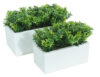 White box Te verde - 20x11x17cm - Imagen 2