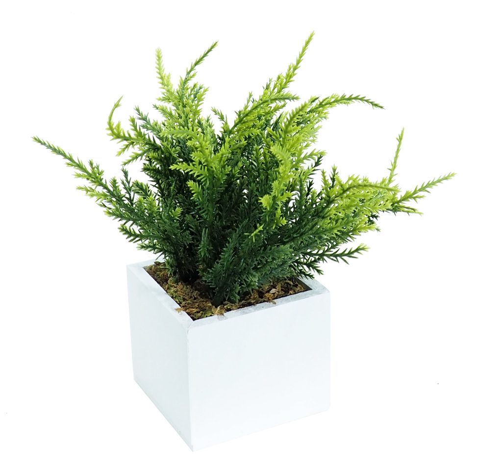 4877510B.jpg White box Cipres verde - 8x8x12cm. - Imagen 1