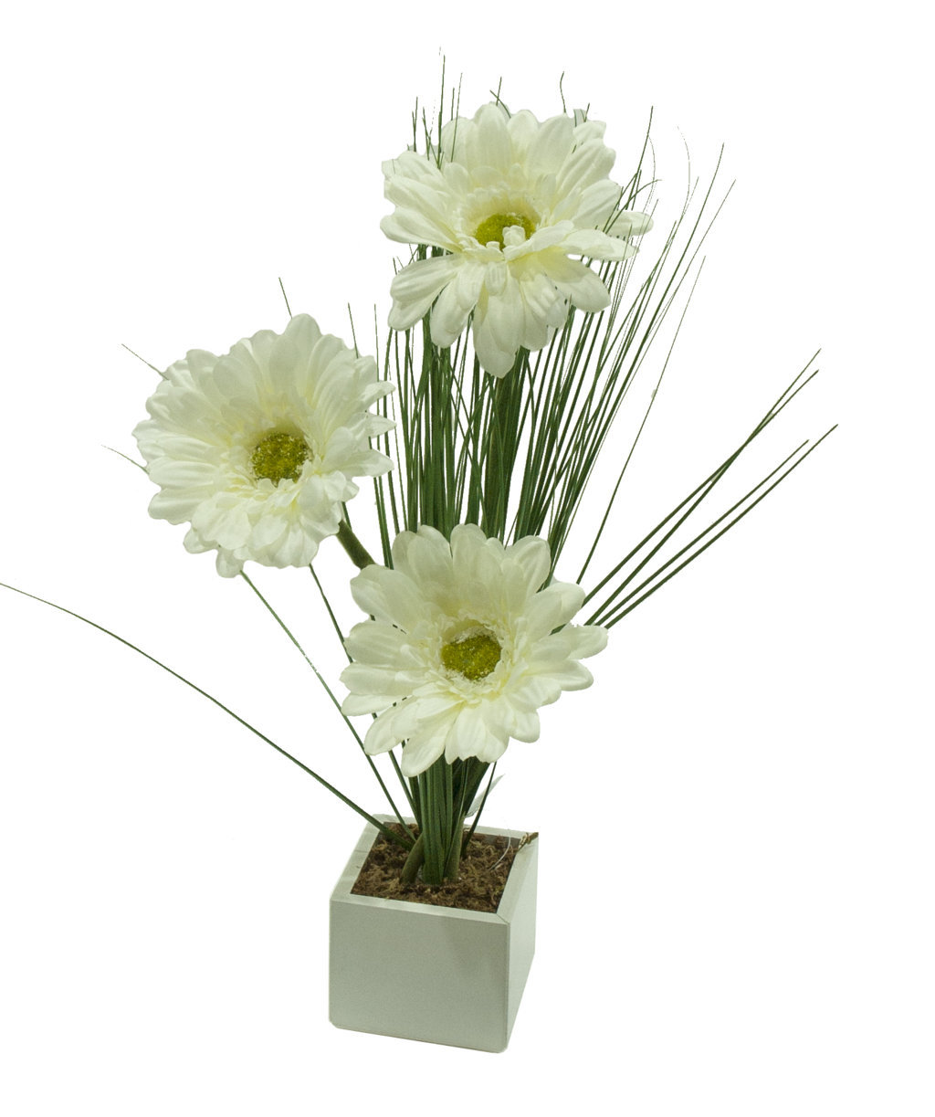4880004B.jpg White box gerbera crema y Eucaliptu 8x8x40cm - Imagen 1