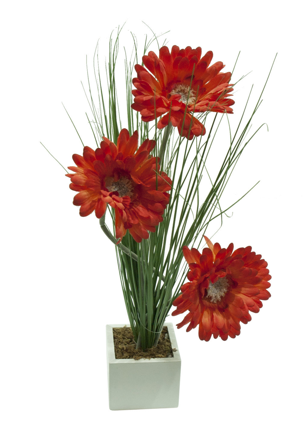 4880005B.jpg White box gerbera naranja y Eucaliptu 8x8x40cm - Imagen 1