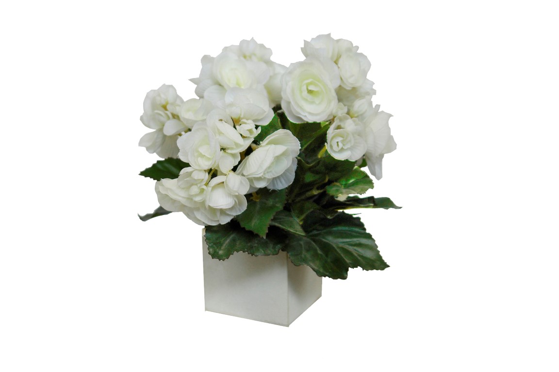 4880024B.jpg White box begonia crema - 8x8x25cm - Imagen 1