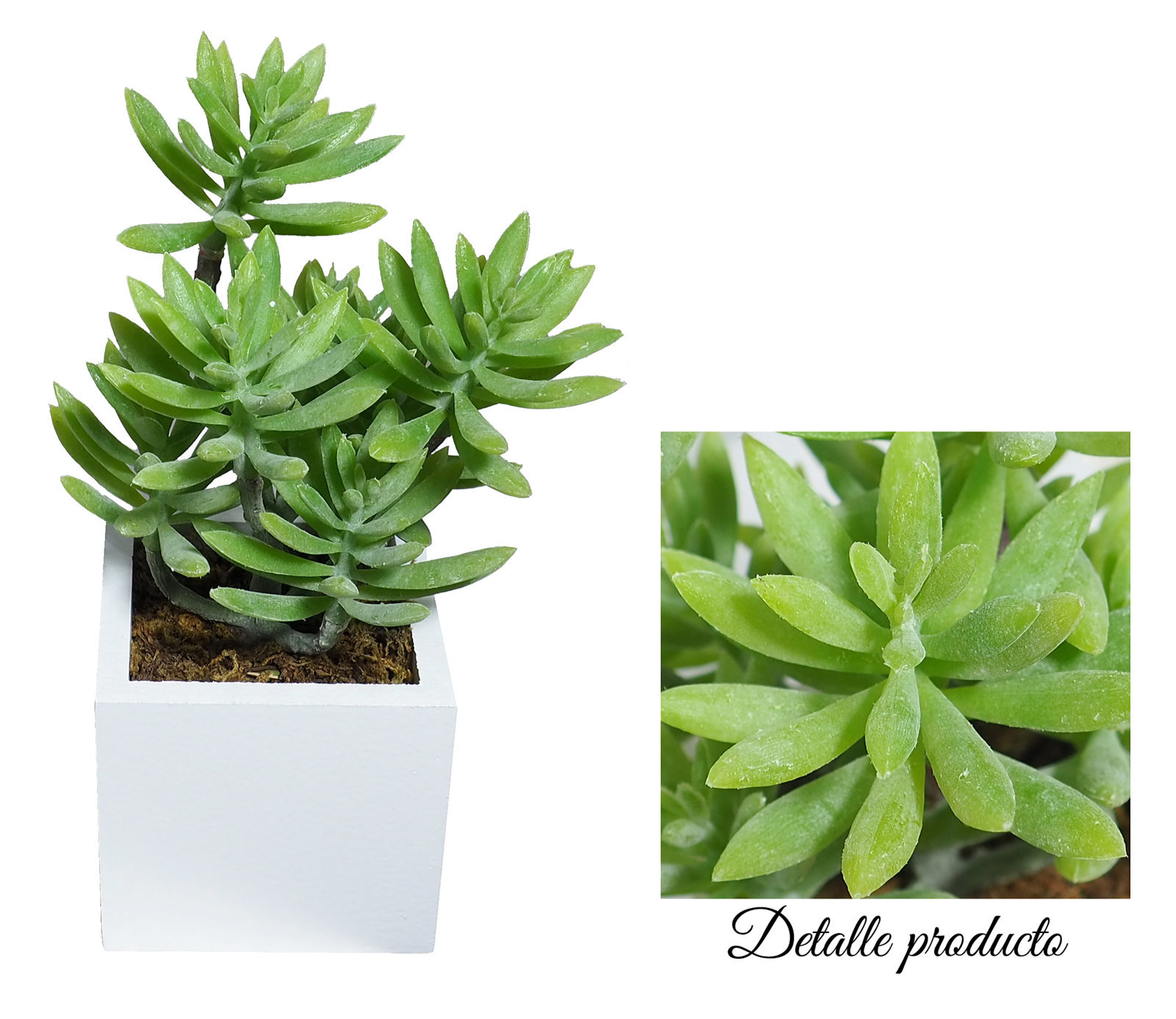 4880074B.jpg Base Blanca Sedum Verde 8x8x21 cms. - Imagen 1