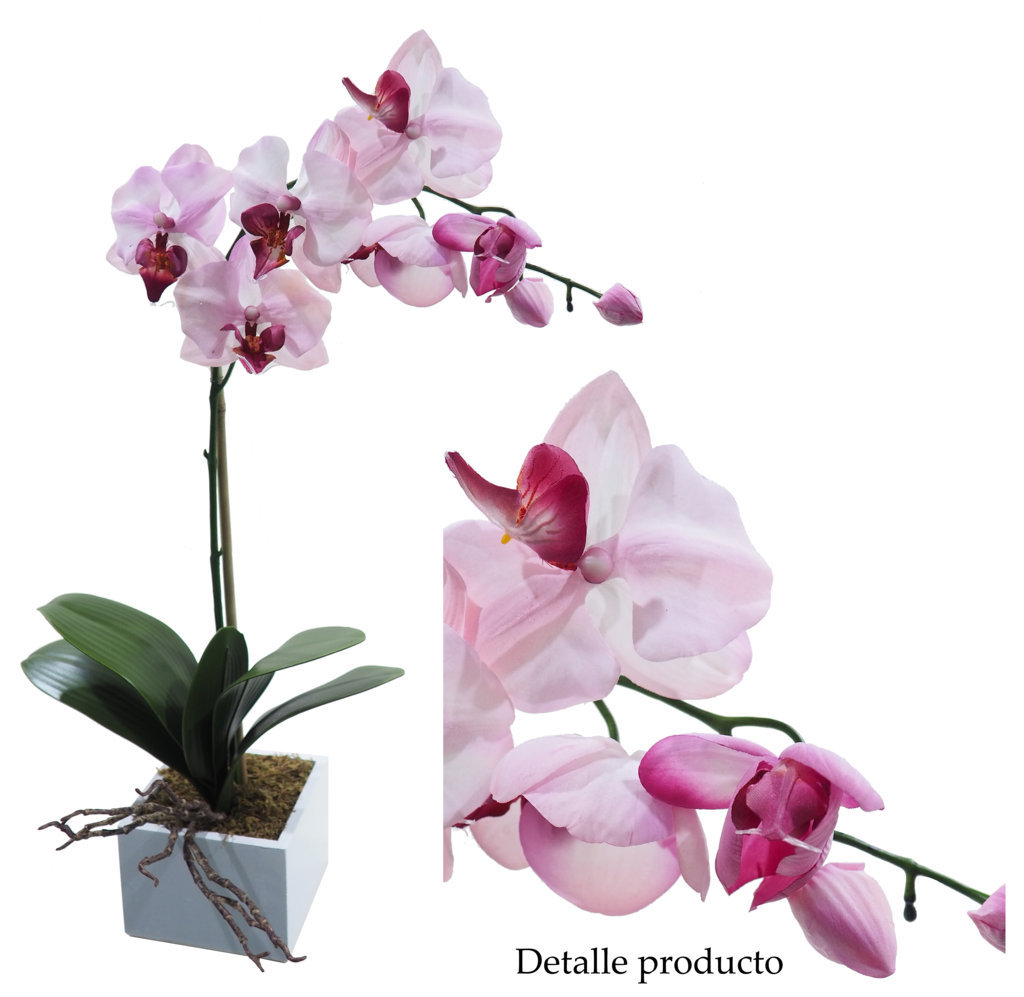 4881003B.jpg White box orquídea rosa - 11x11x45cm - Imagen 1
