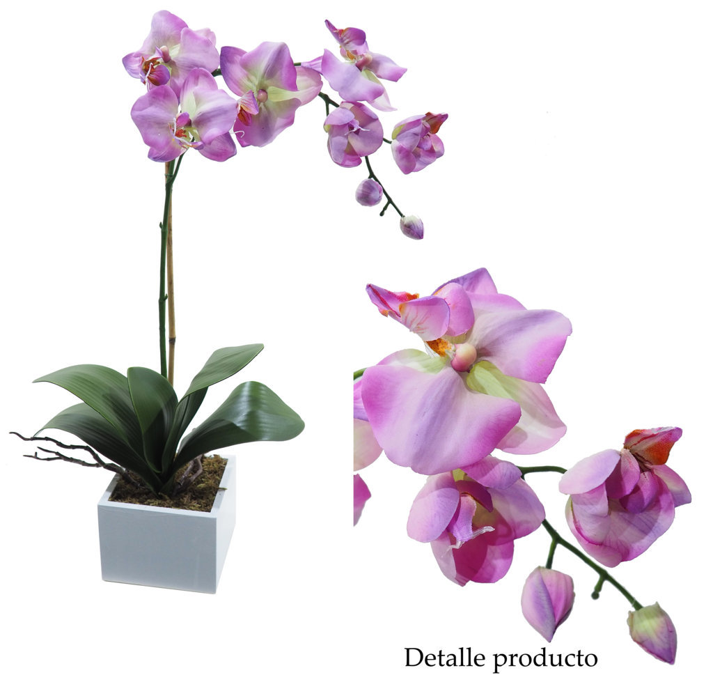 4881004B.jpg White box orquídea violeta - 11x11x45cm - Imagen 1
