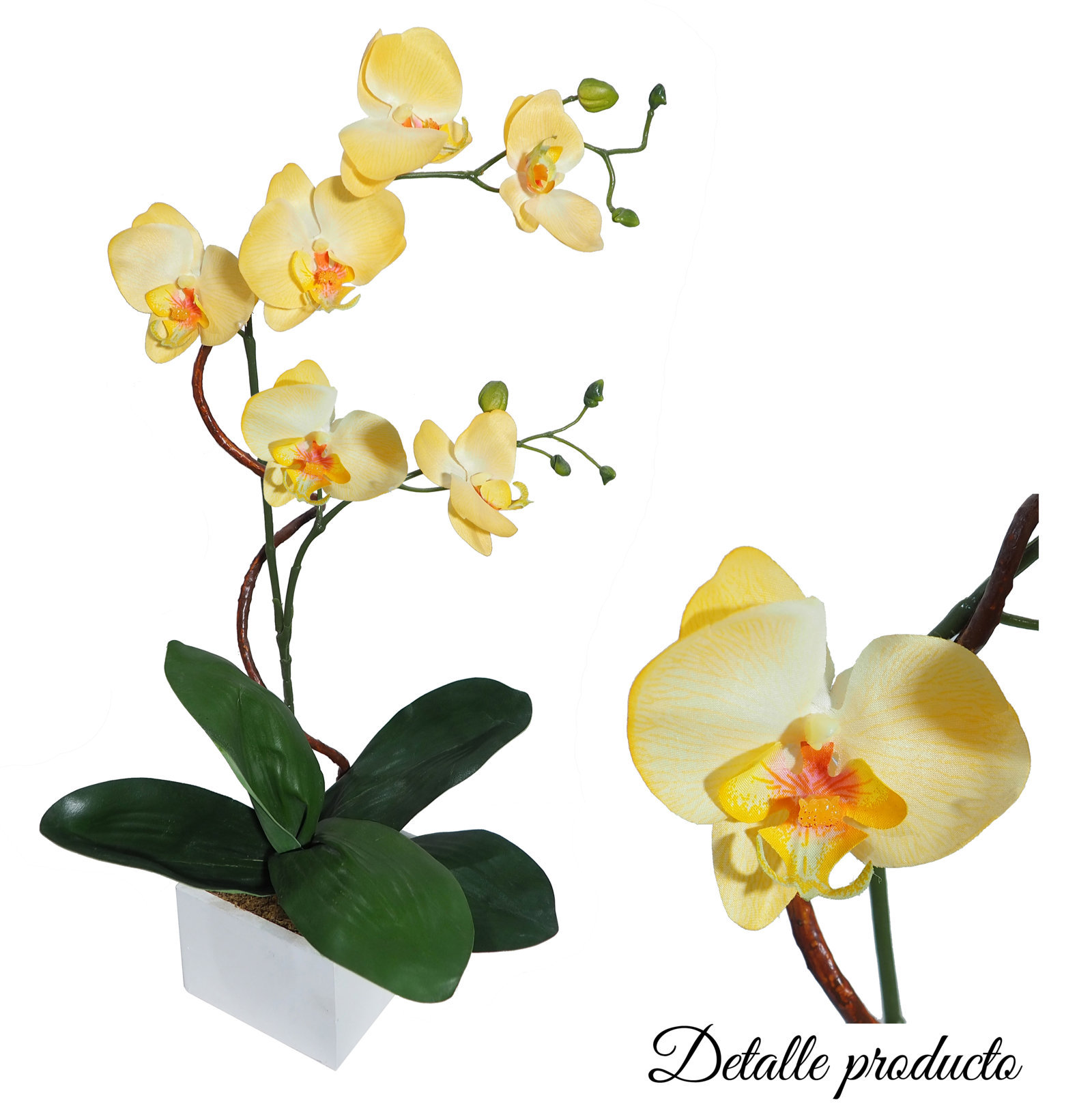 4881007B.jpg White box orquidea amarilla - 11x11x60cm - Imagen 1