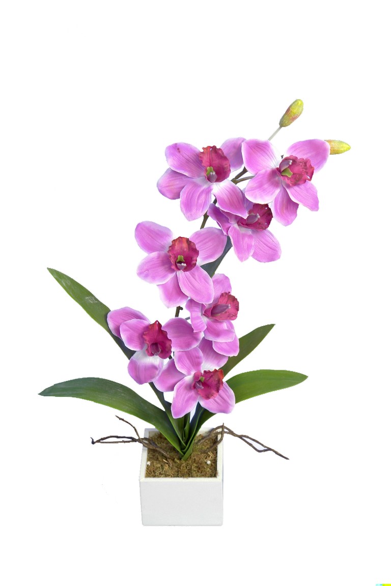 4881031B.jpg White box cymbidium lavanda - 11x11x60cm - Imagen 1