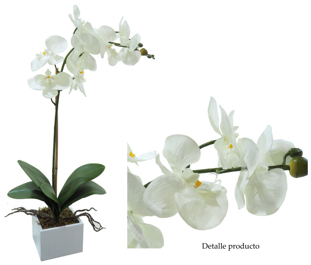 4881032B.jpg White box orquídea crema - 11x11x60cm - Imagen 1