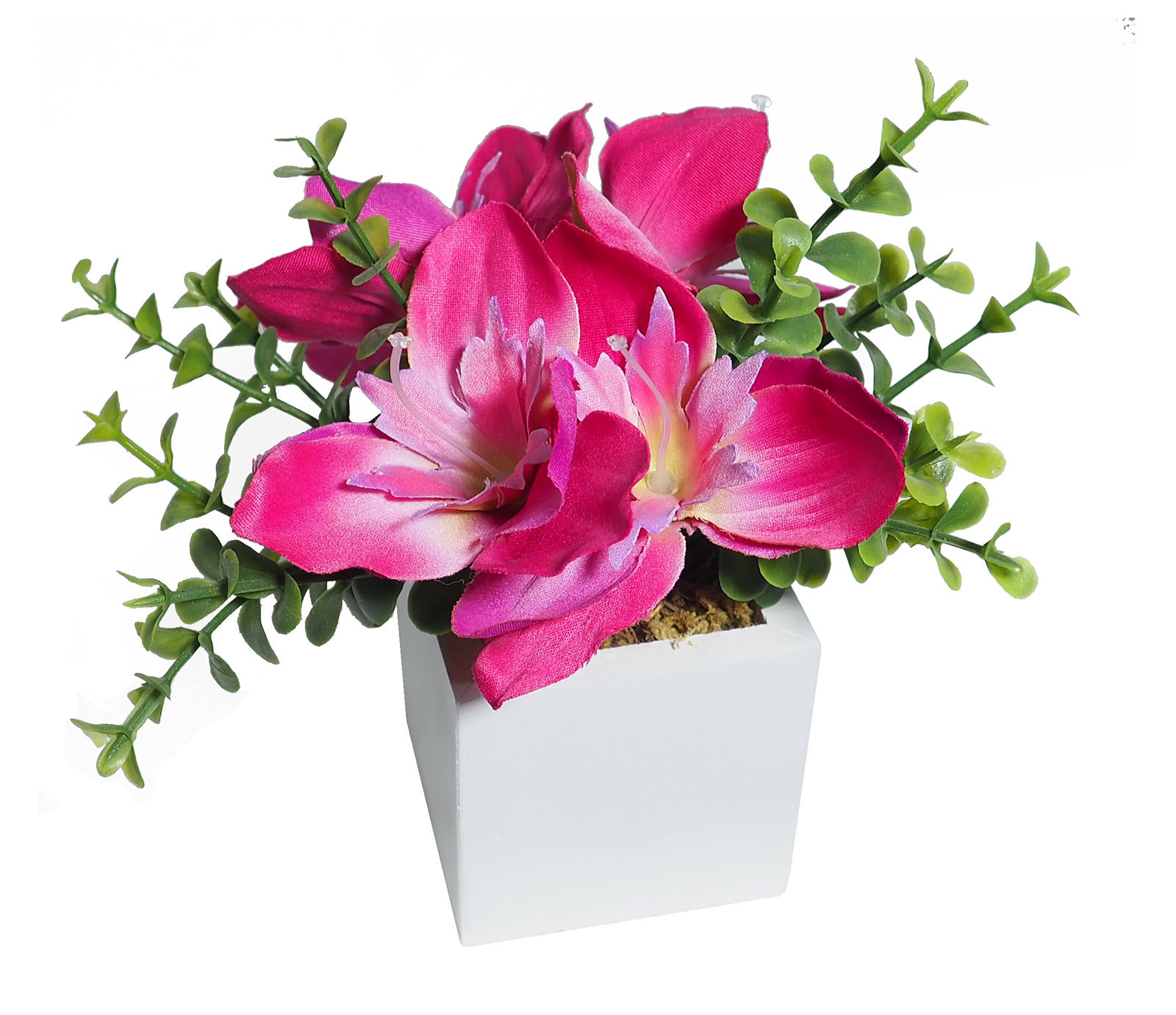 4889013N.jpg White box lilium fucsia y bambú - 6x6x14cm - Imagen 1