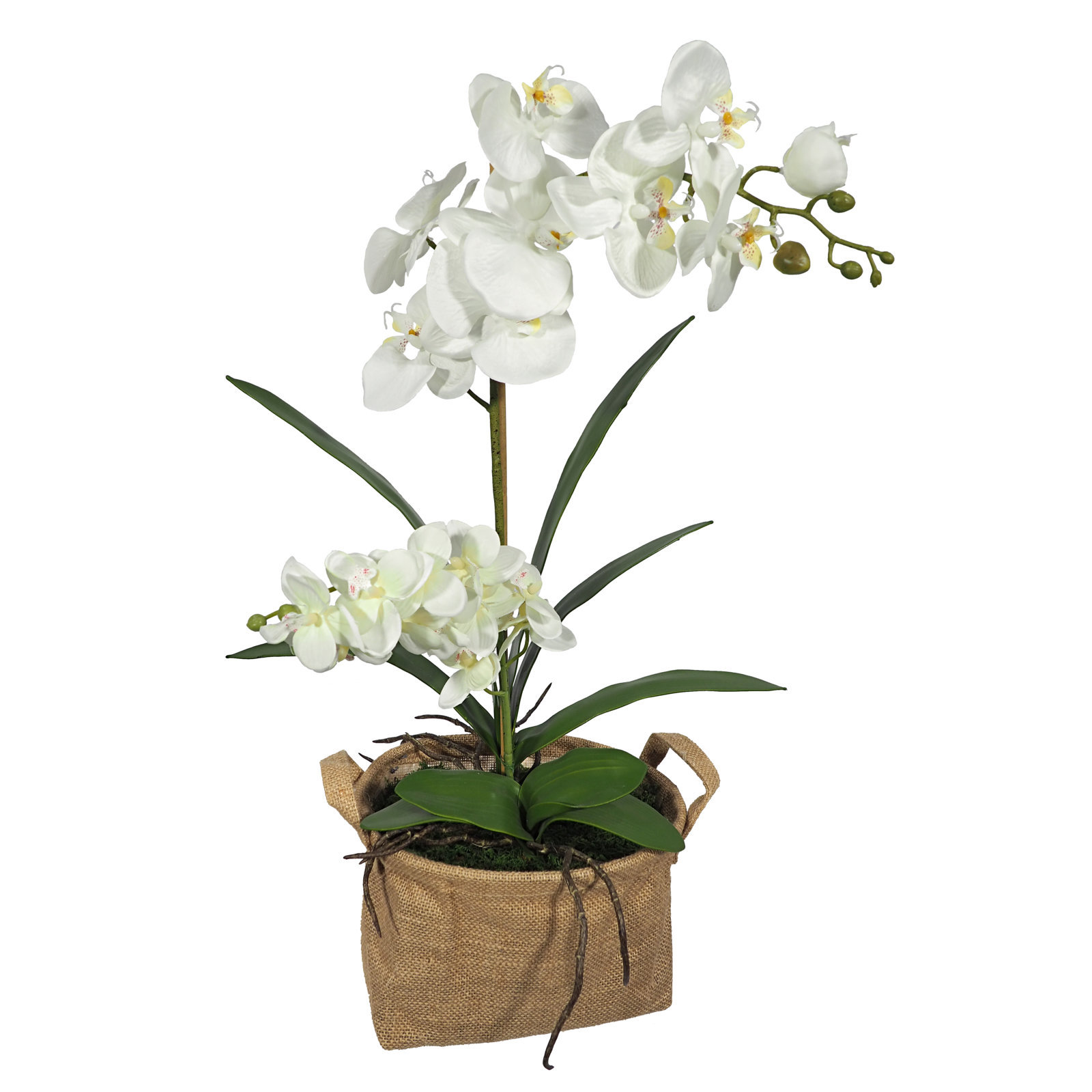 4891002 Centro Orquideas en base de yute - 20x15x65cm - Imagen 1