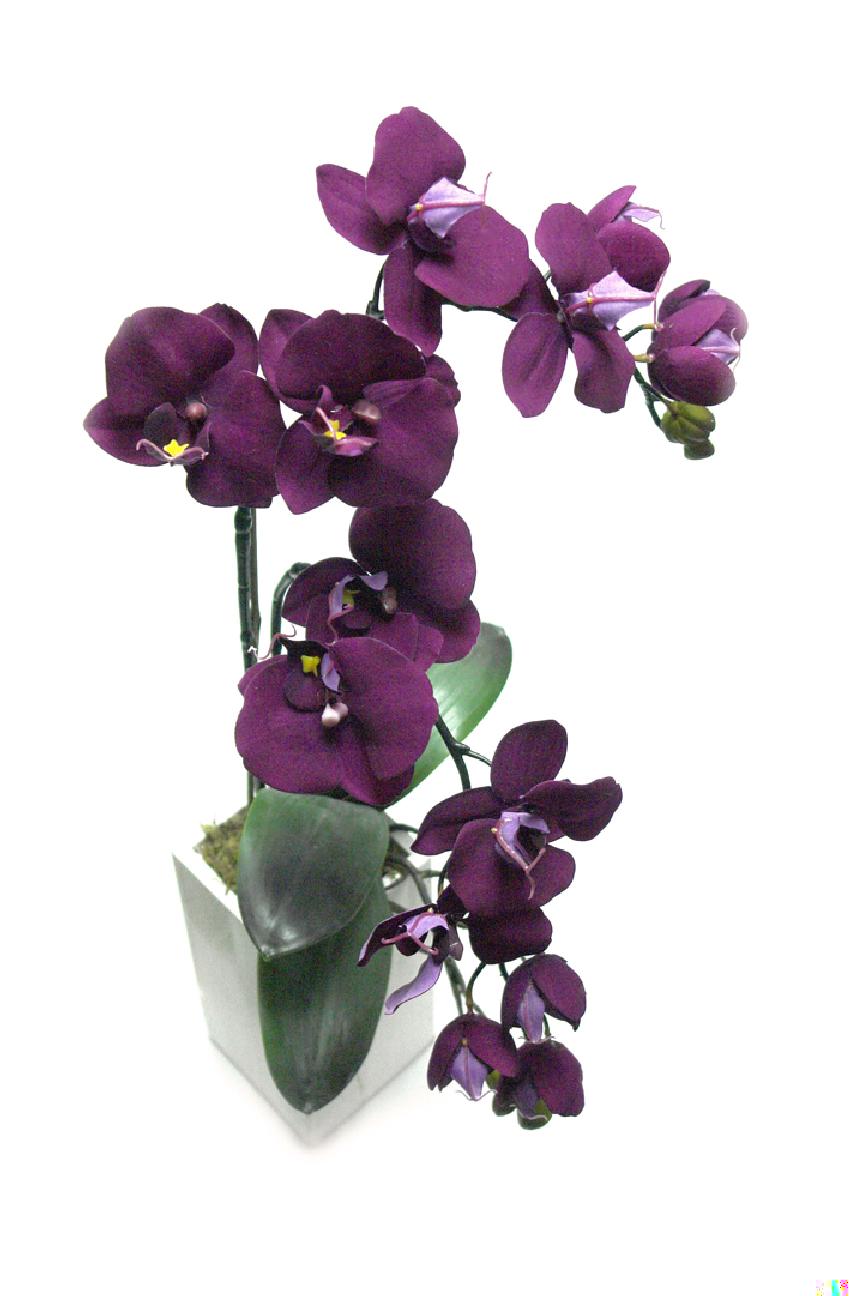 4893032.jpg Orquidea lila base madera - 10x10x60cm - Imagen 1