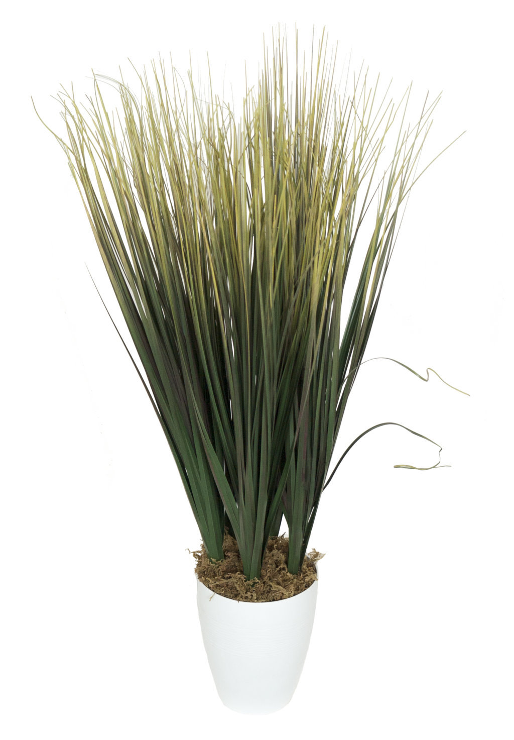 4893200.jpg B/BL Hierba verde - Ø13x60cm - Imagen 1