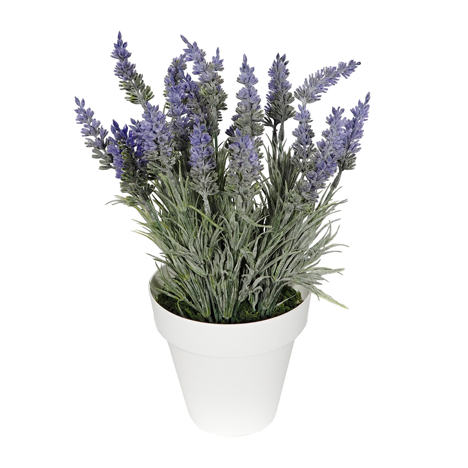 4894005 M/BL Lavanda lila plastico -Mac. Ø14x35cm - Imagen 1
