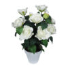 B/BL Gardenia blanca - Ø14x44cm - Imagen 2