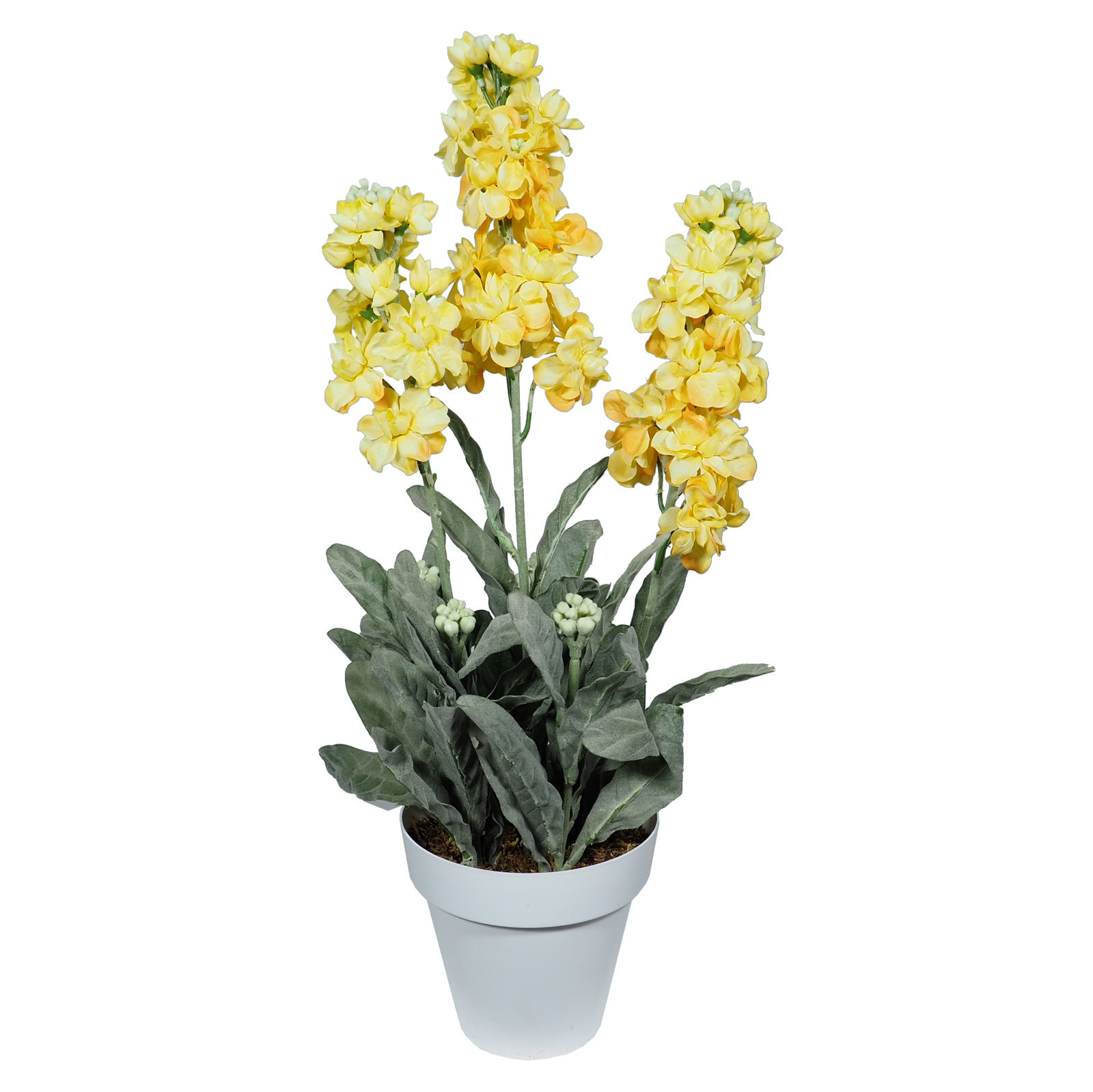 4895106.jpg B/BL Lilac amarillo - Ø14x53cm - Imagen 1