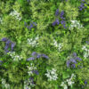 Jardín Vertical SILVESTRE  Exterior 100x15x100cm - Imagen 2