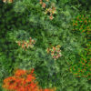 Jardín Vertical PICEA 100x15x100cm Exterior - Imagen 2