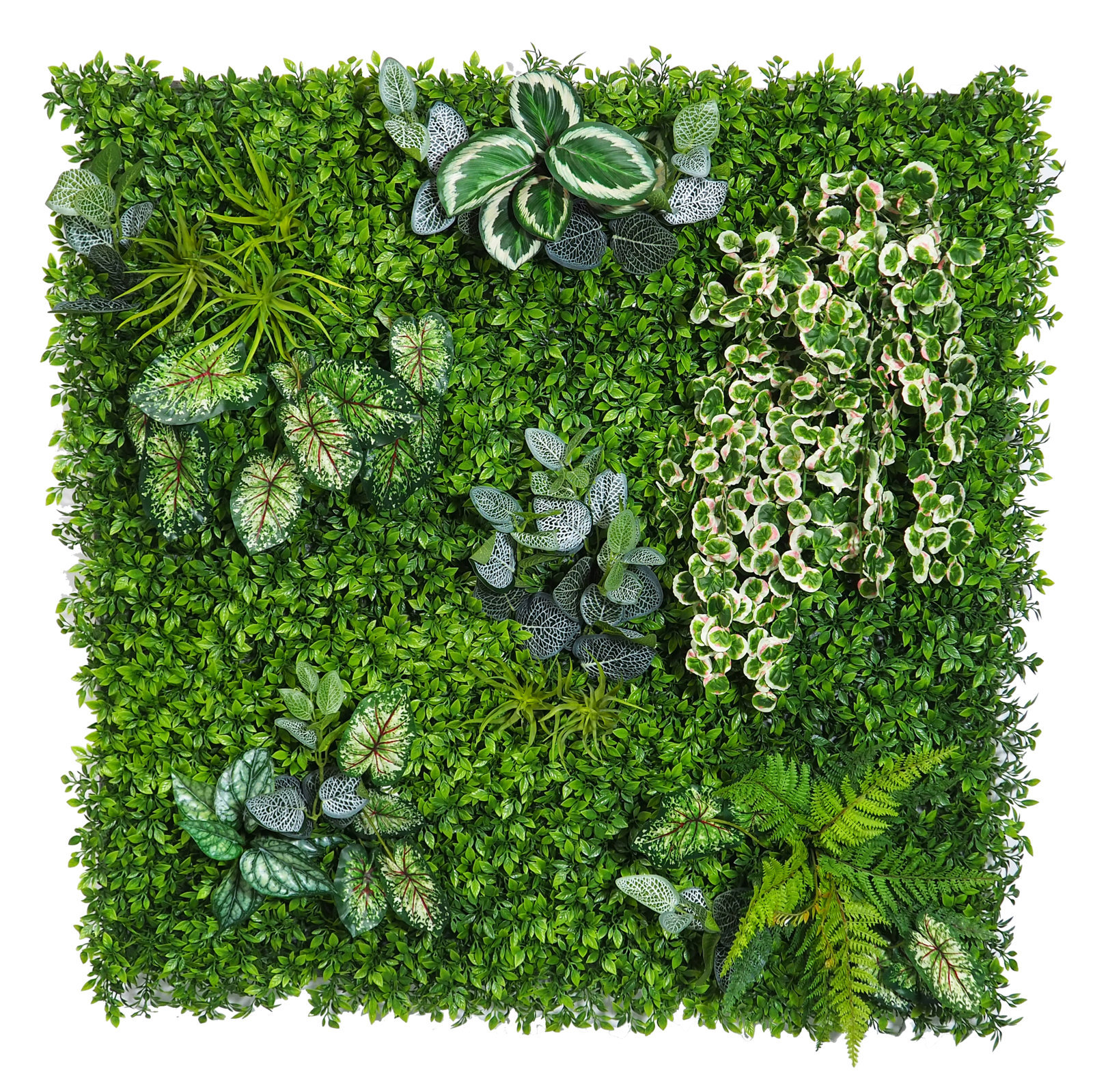 4899405 Jardín Vertical FOREST 100x100cm Interior - Imagen 1