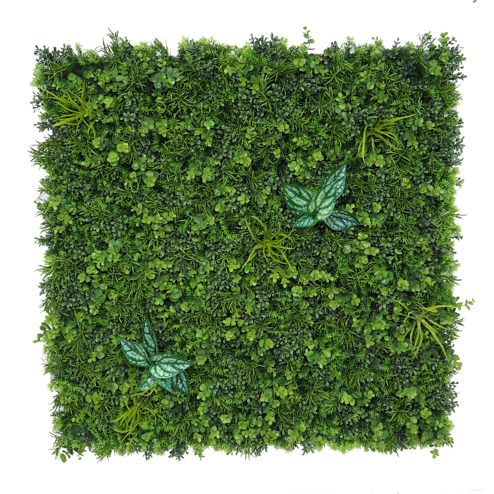 4899409 Jardín Vertical Green's 100x15x100cm. Interior - Imagen 1