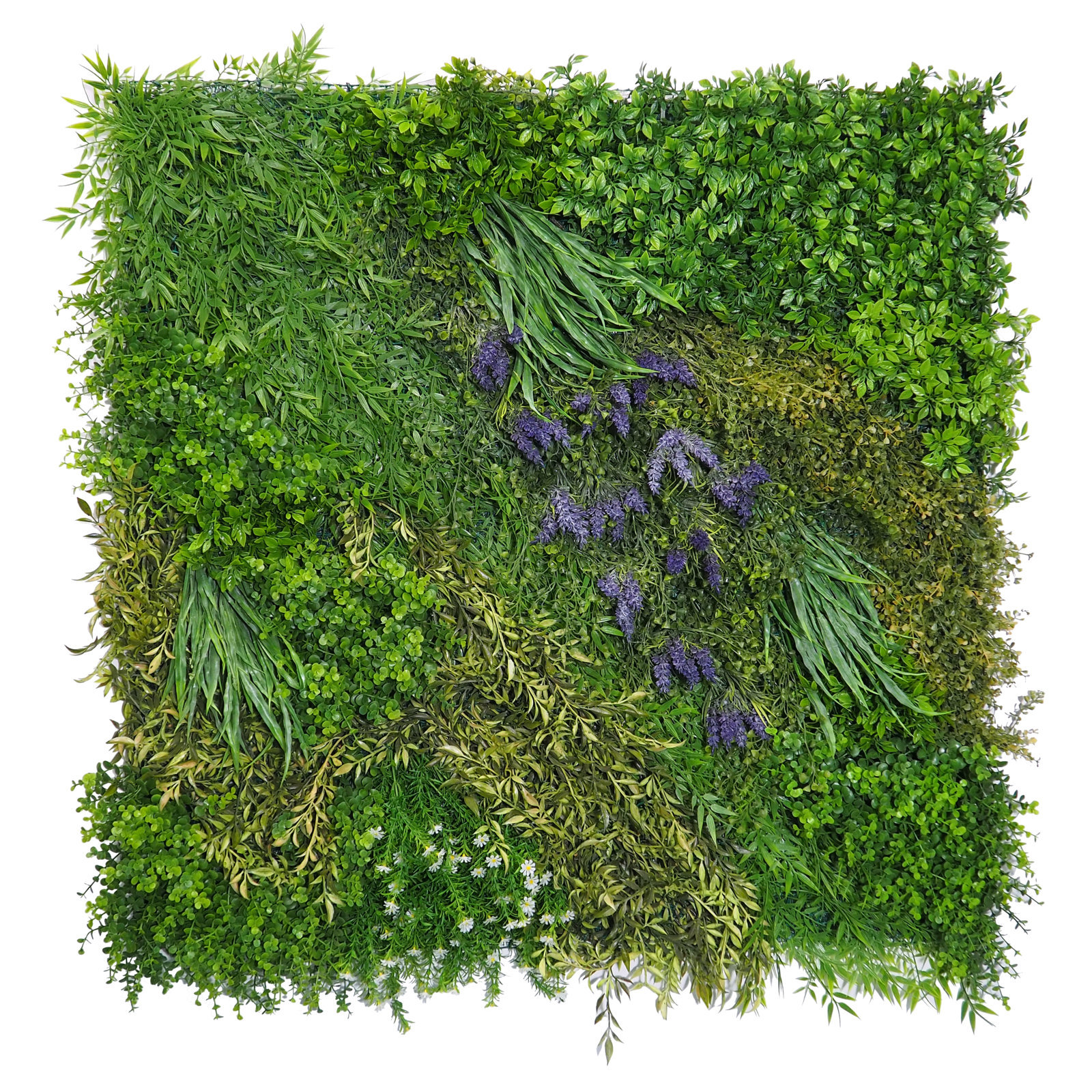 4899800B Jardín Vertical Júpiter Exterior 100x100cm - Imagen 1