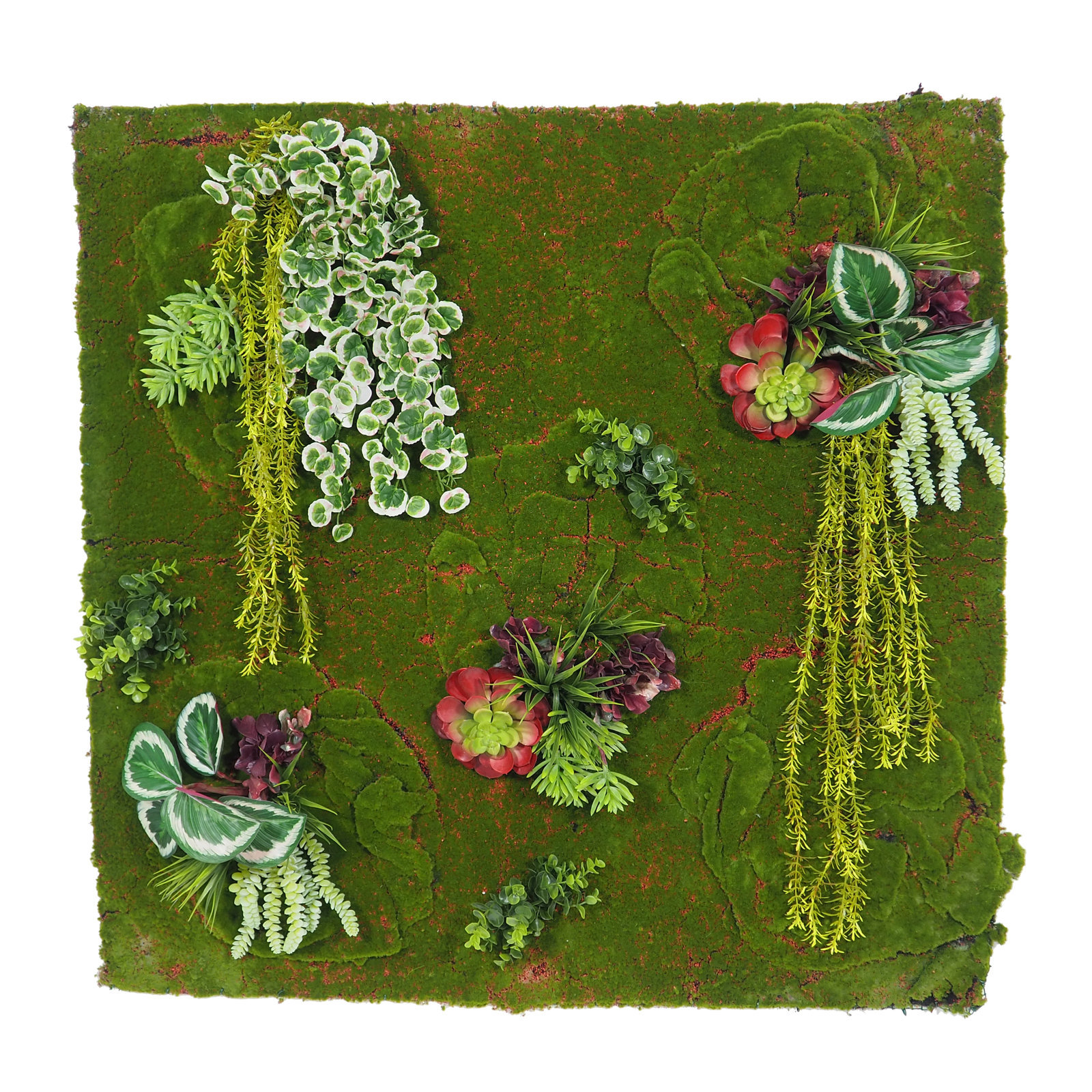 4899801H Jardín Vertical Crasas Interior 100x100cm - Imagen 1