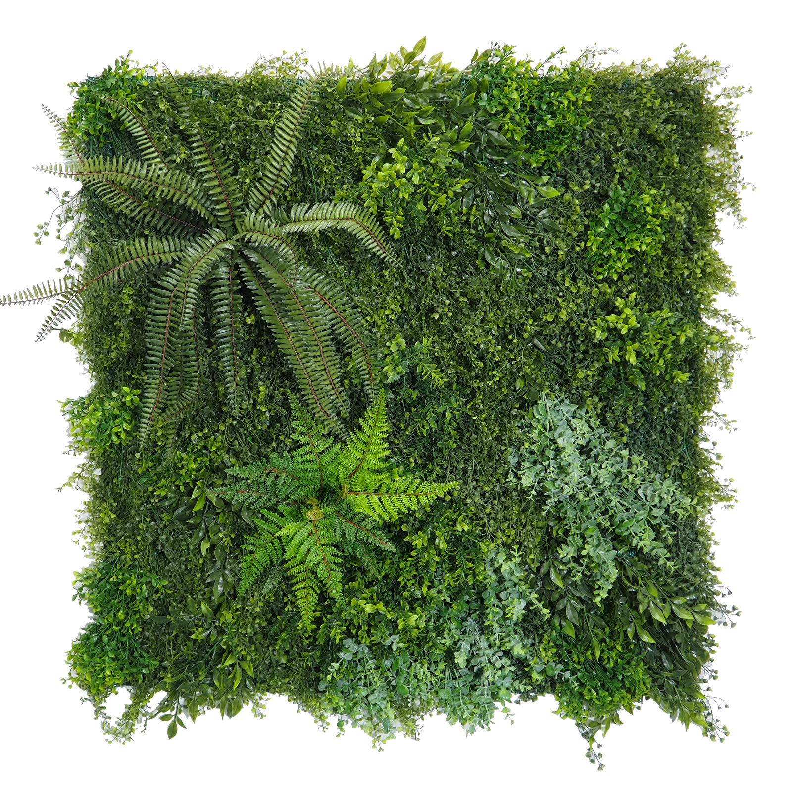 4899899 Jardín Vertical Neptuno Exterior 100x100cm - Imagen 1