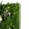 Loseta Combi Hiedra/Flores 50x50 cms. - Imagen 2