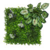 Loseta Combi Philo/Calatea 50x50cms
