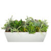 Relleno Mix Crasas 78x28,5x30,5 (25cm vegetación)