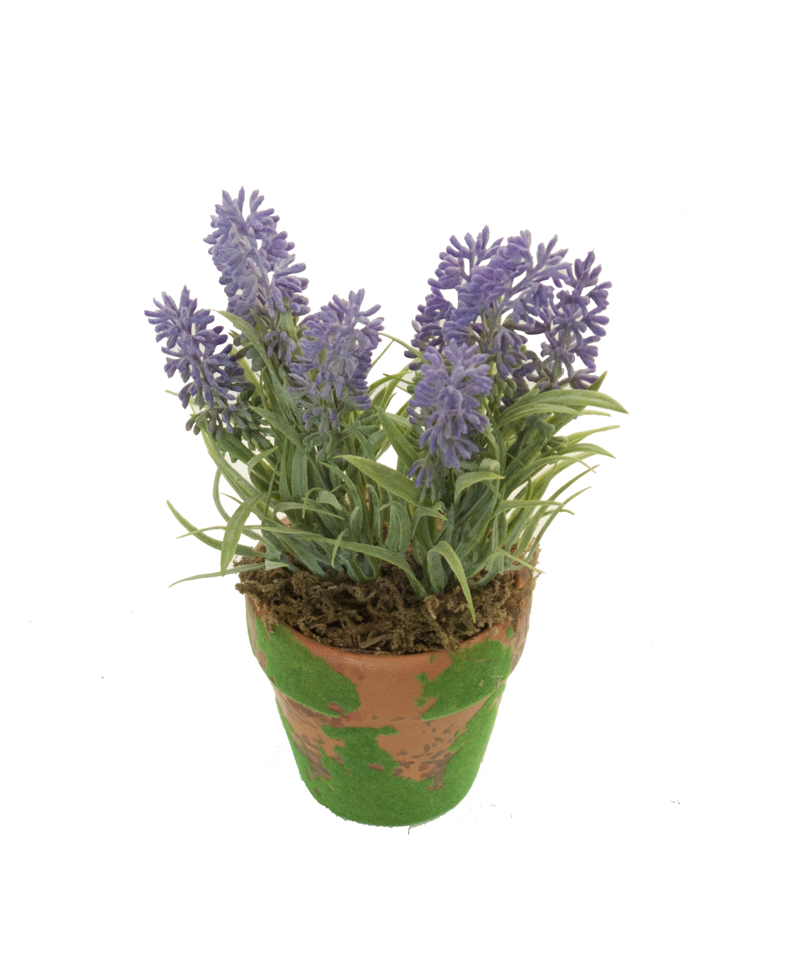 4901256A.jpg M/M Lavanda plástico Mac. musgo - Imagen 1