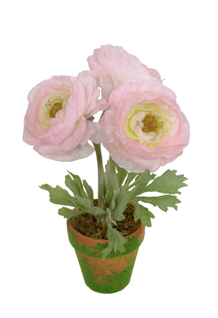 4902144A.jpg M/M Ranunculo rosa maceta musgo - Ø9x30cm - Imagen 1