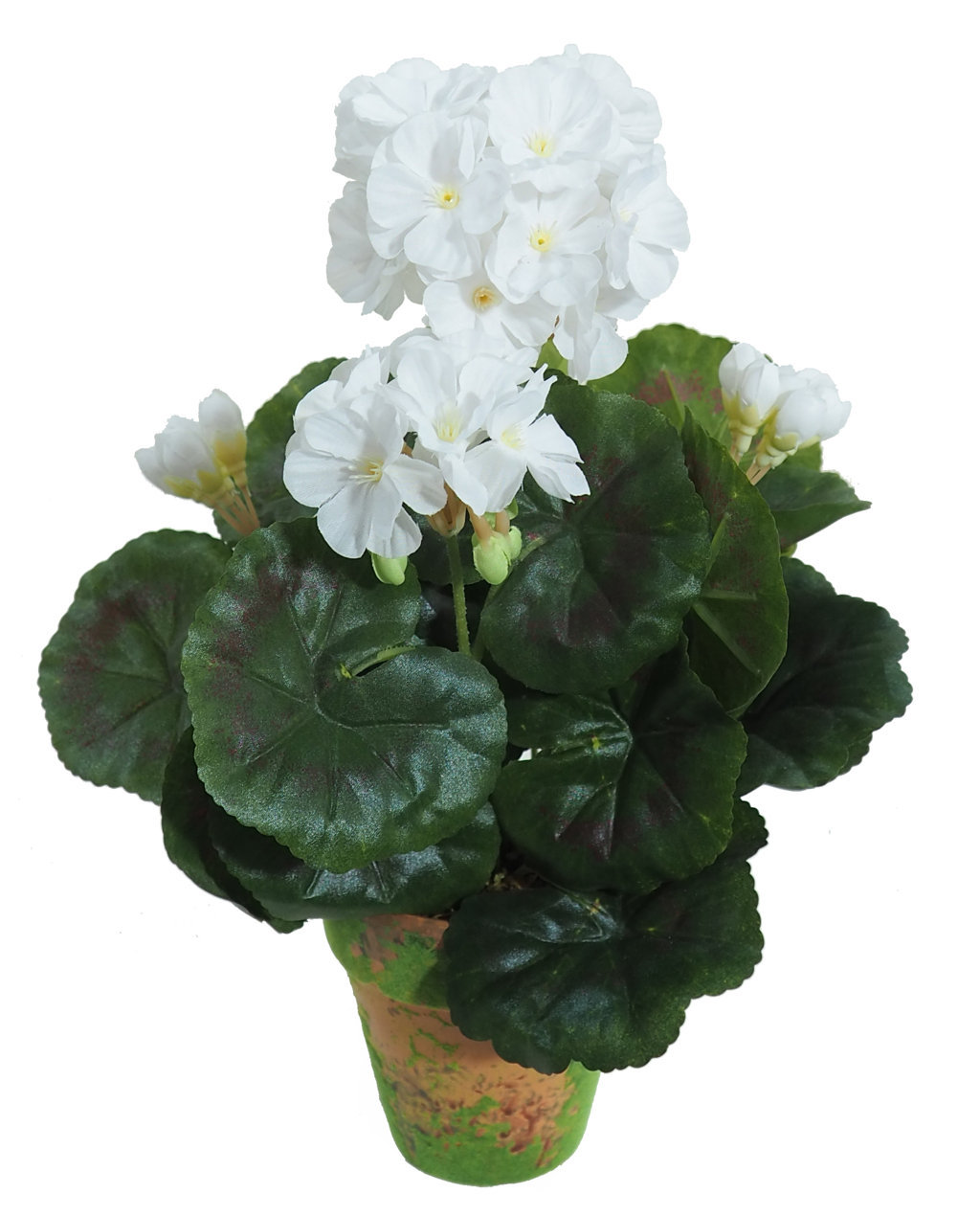 4902226A.jpg M/M Geranio blanco maceta musgo - Ø9x33cm. - Imagen 1