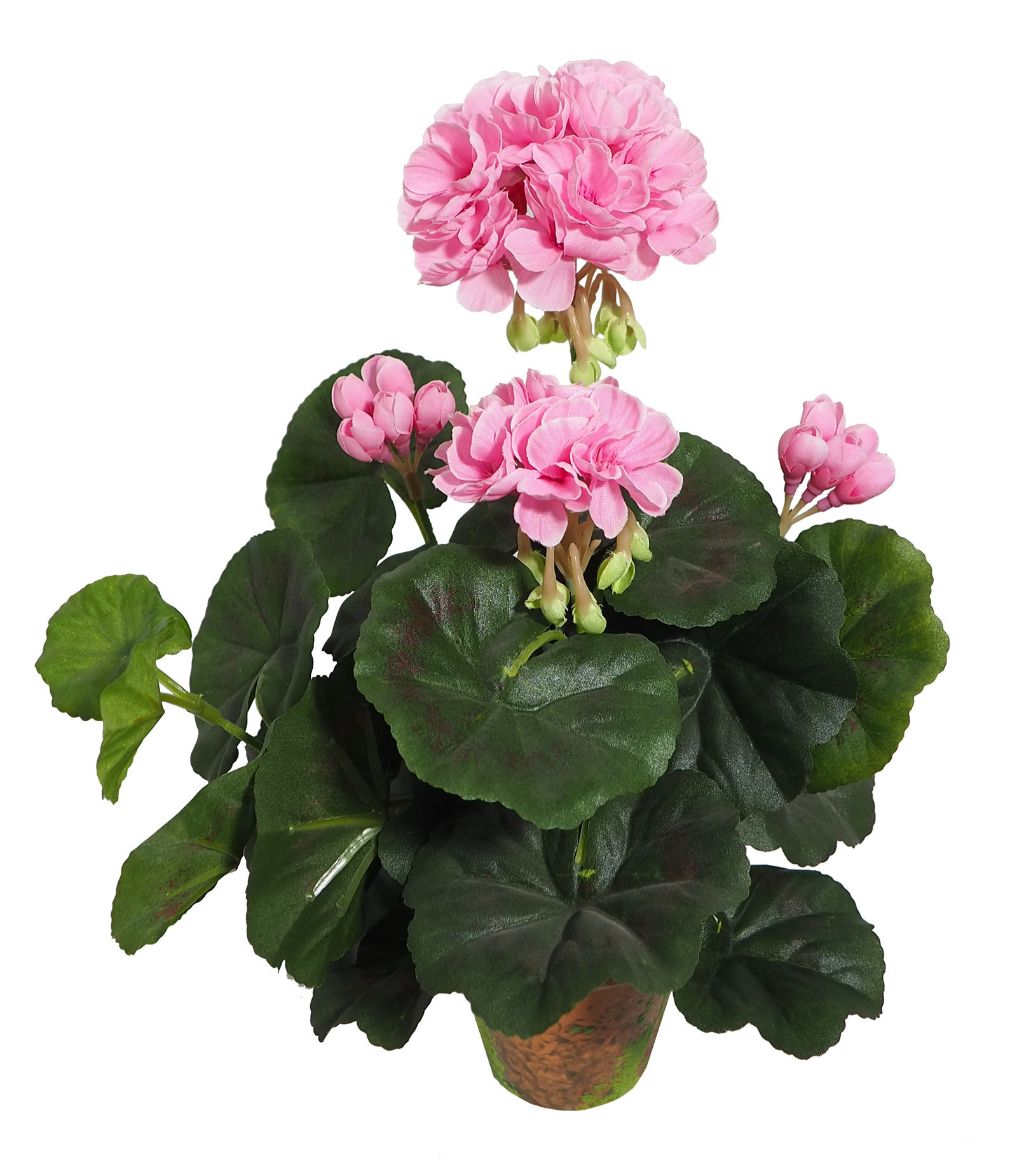 4902227A.jpg M/M Geranio Rosa maceta musgo - Ø9x33cm. - Imagen 1