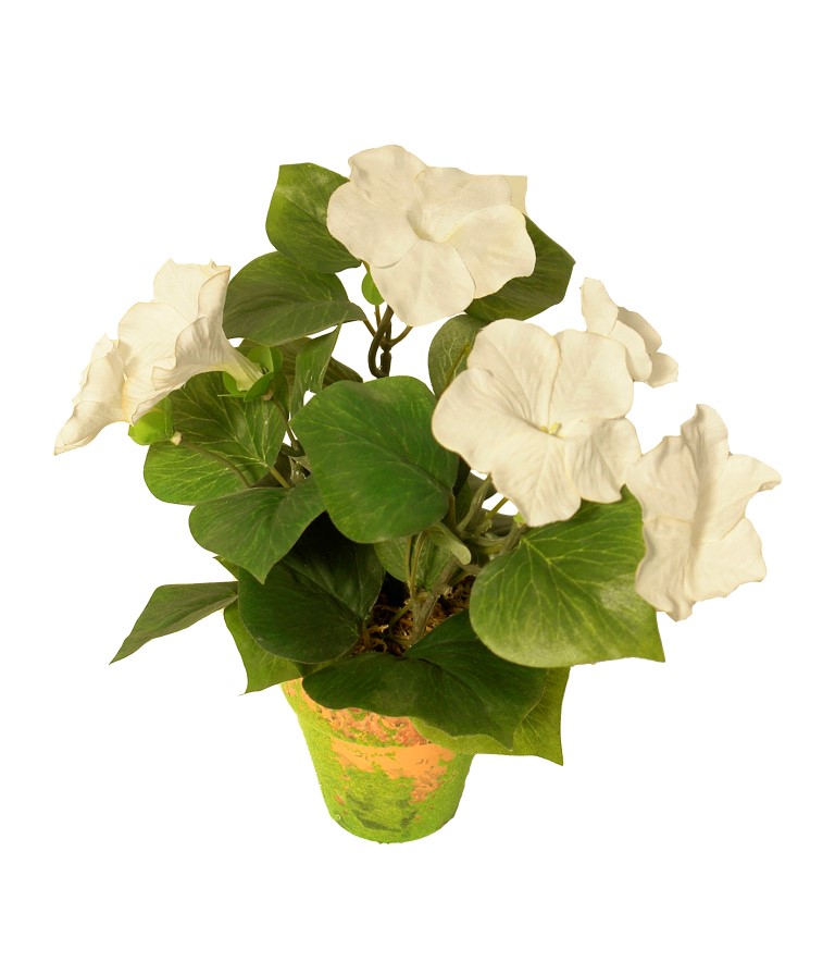 4902286A.jpg M/M Petunia crema maceta musgo - Ø9x28cm - Imagen 1