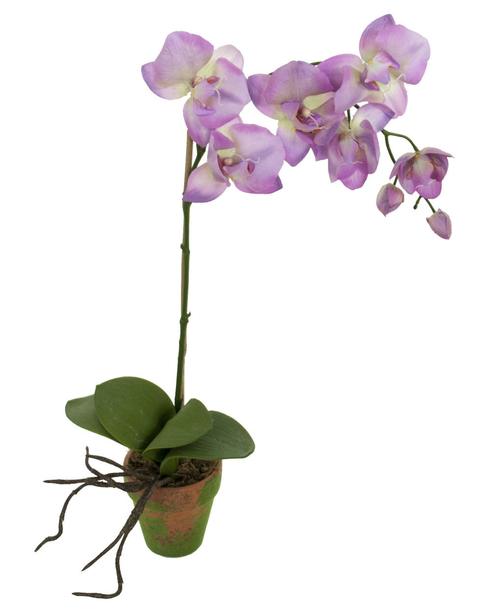4902294A.jpg M/M Orquidea violeta goma - Ø9x47cm - Imagen 1
