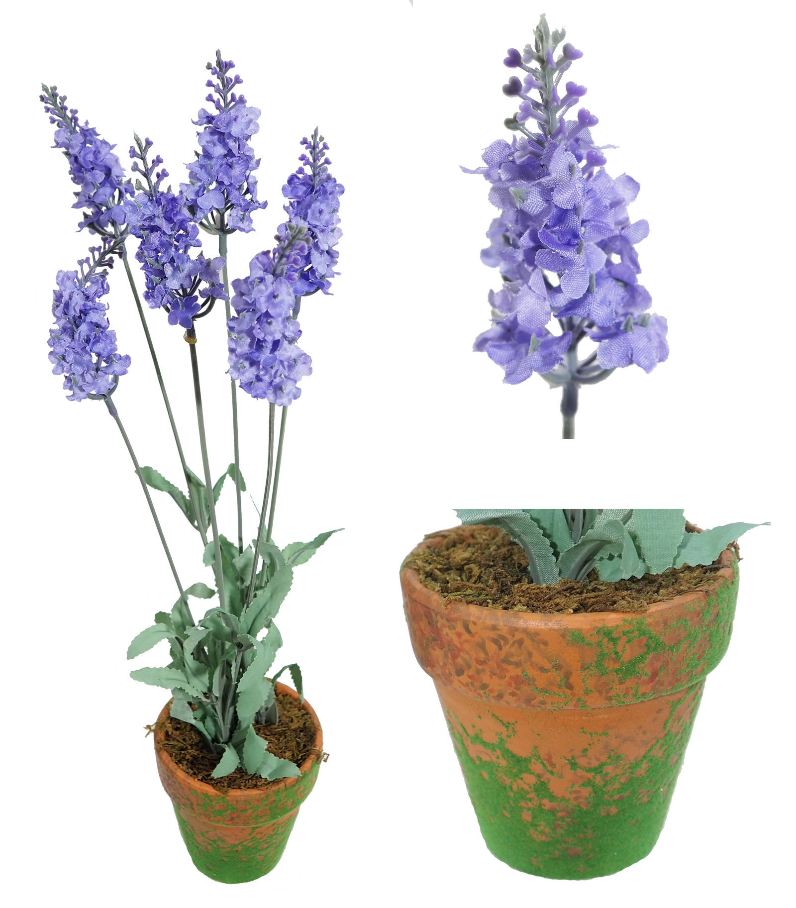 4902295A.jpg M/M Lavanda Lavanda con maceta musgo - Ø9x44 cms. - Imagen 1