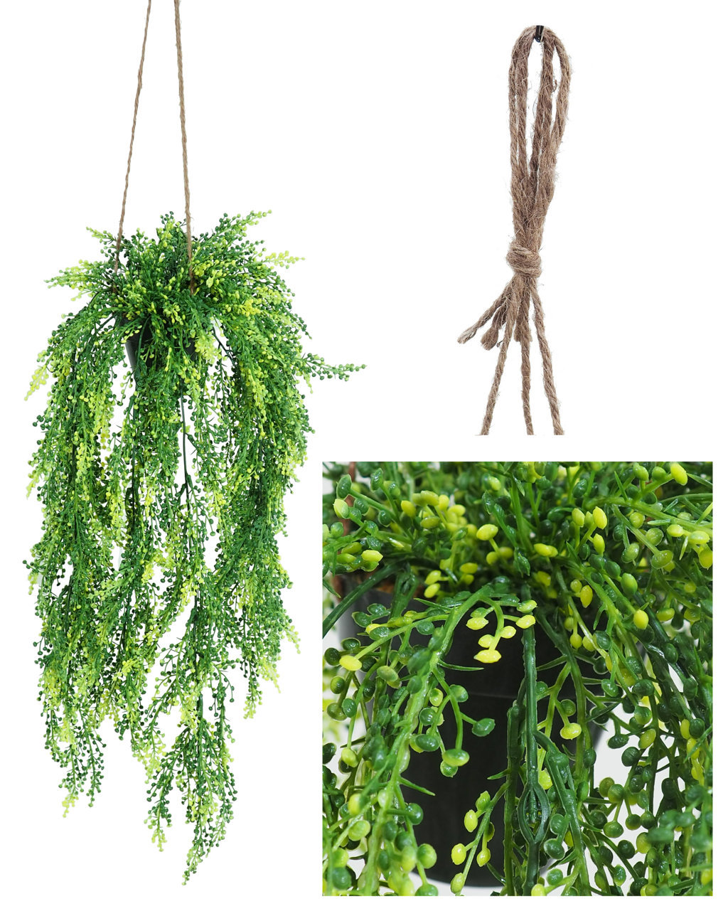5000014.jpg Mac.Colgante Senecio Vde.Ama.-60+40=100cm. - Imagen 1