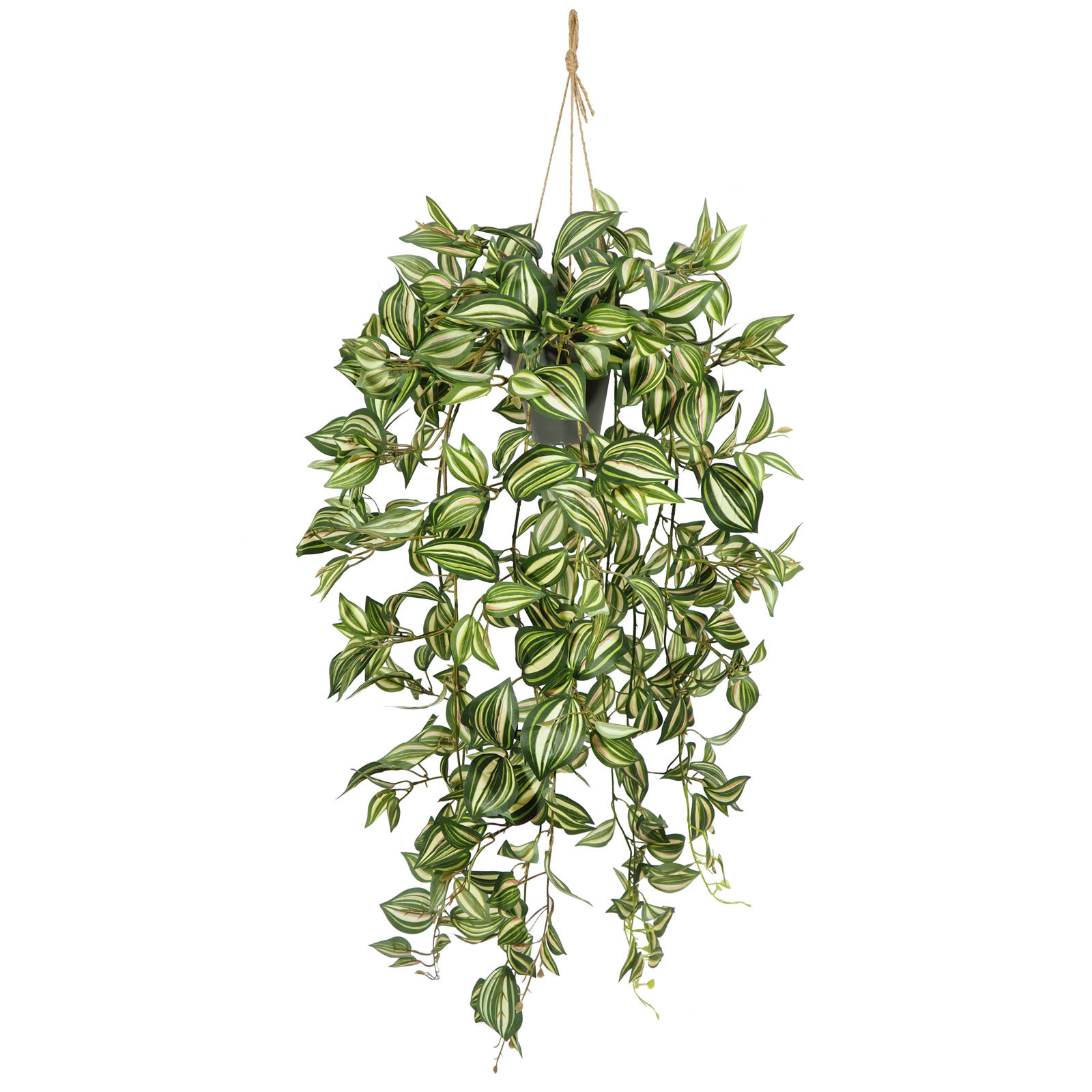 5000068.jpg Maceta Colgante Tradescantia 110+40=150cm. - Imagen 1