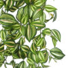 Maceta Colgante Tradescantia 110+40=150cm. - Imagen 2