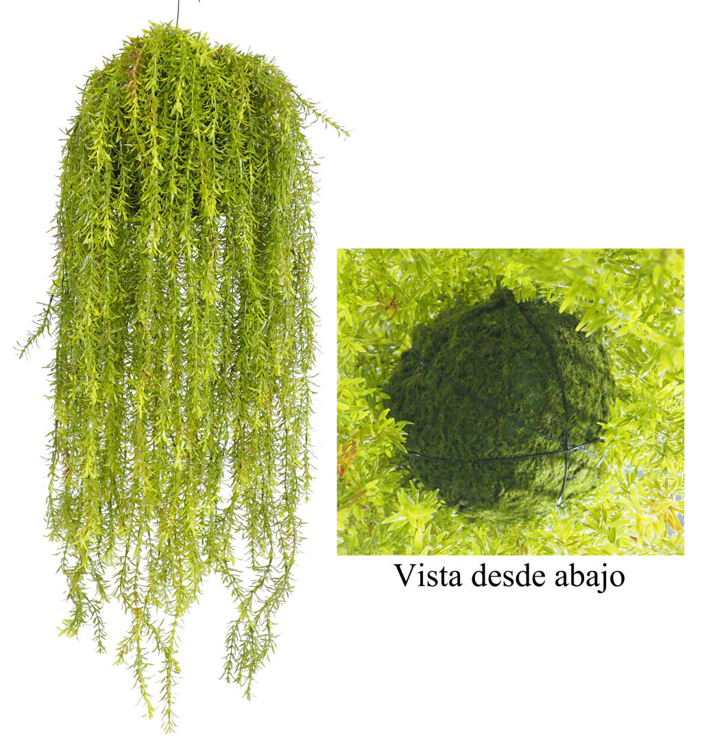 5000100.jpg Bola Musgo Colga.Acqua Verde 80+40= 120cm. - Imagen 1